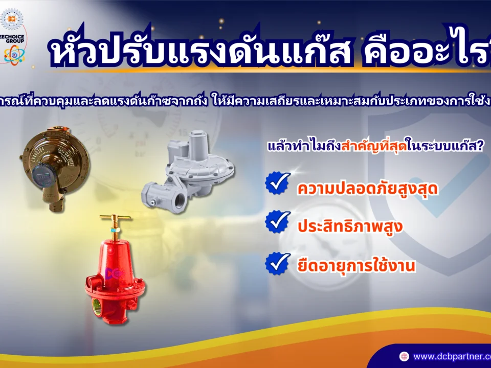 หัวปรับแรงดันแก๊สแบบไหนดี
